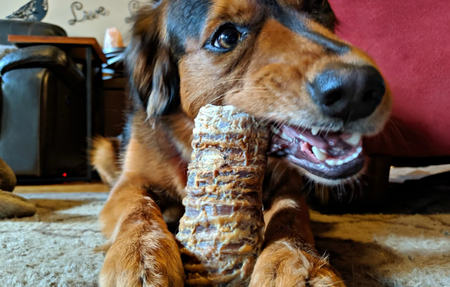Customer review - dog with natural treat