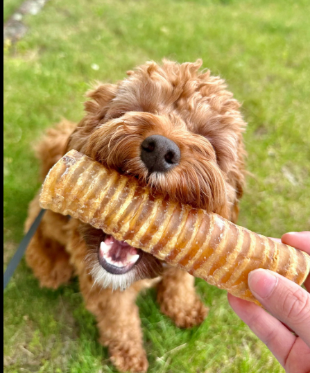 Customer review - natural chew treat detail