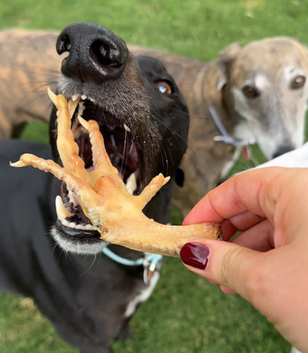 Customer review - dog treats close up