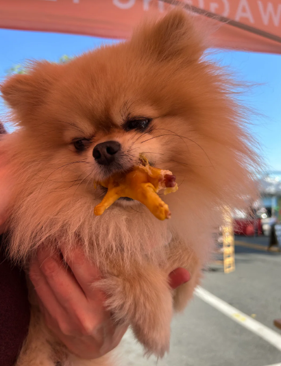 Customer review - dog enjoying natural chew treat