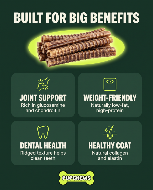 All Natural Dried Beef Trachea — image 12