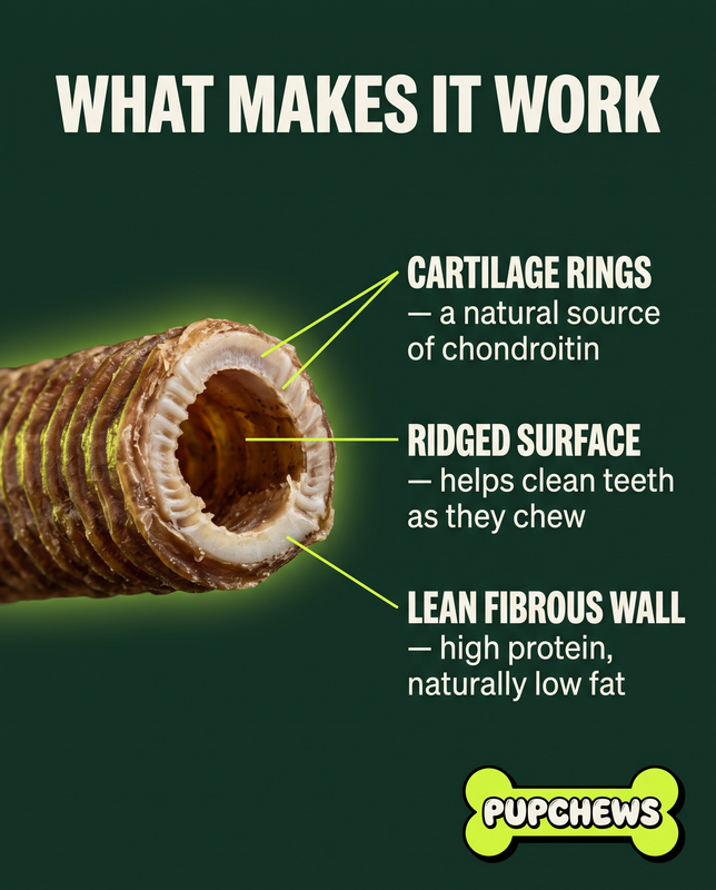 All Natural Dried Beef Trachea — image 7