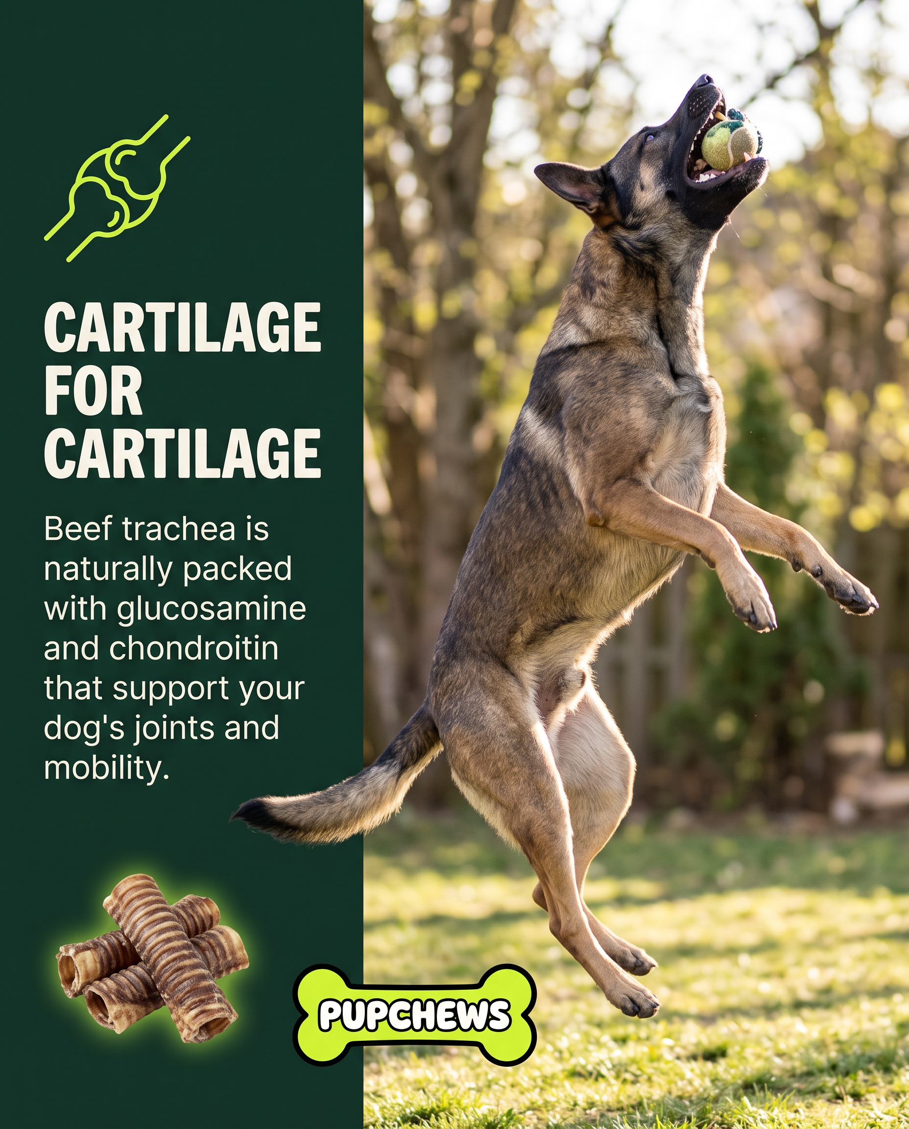 All Natural Dried Beef Trachea