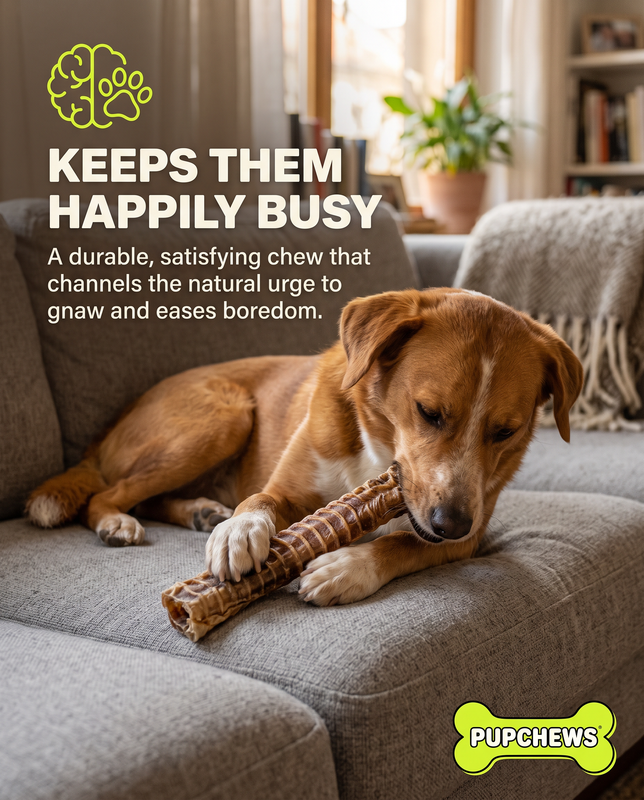 All Natural Dried Beef Trachea — image 11